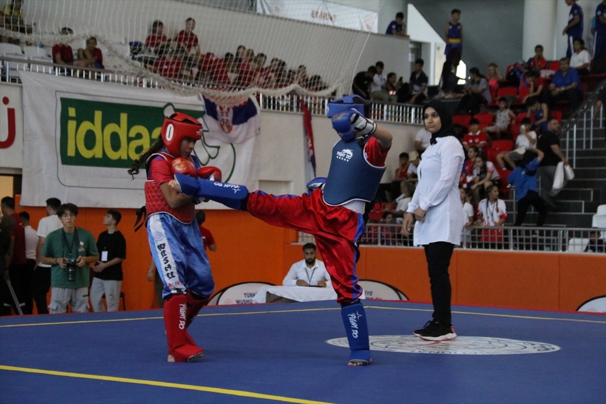 Edirne\'de düzenlenen 7. Açık Balkan Wushu Kung Fu Şampiyonası sona erdi
