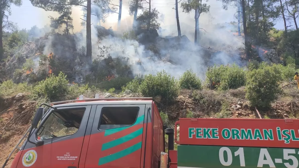 Adana\'nın Feke ilçesinde ormanlık alanda çıkan yangına müdahale sürüyor