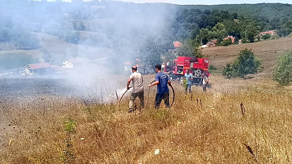 Bilecik\'te çıkan ot yangınında köylü dumandan etkilendi
