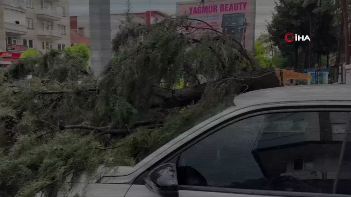 Burdur\'da fırtınada kırılan ağaç aracın üzerine devrildi