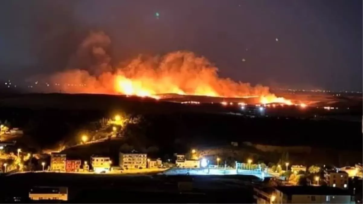 Diyarbakır\'da anız yangını! İki ilçeden itfaiyeler bölgeye sevk edildi