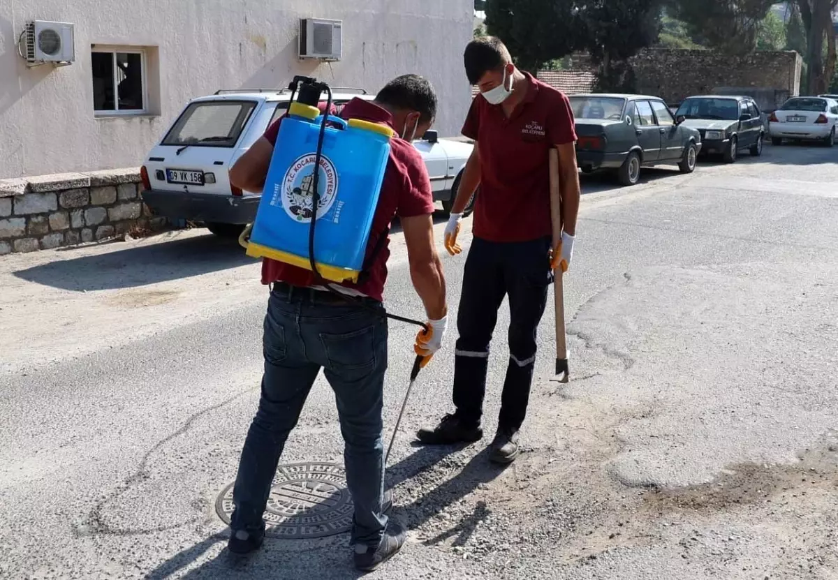 Koçarlı Belediyesi Haşereyle Mücadele Çalışmalarını Sürdürüyor