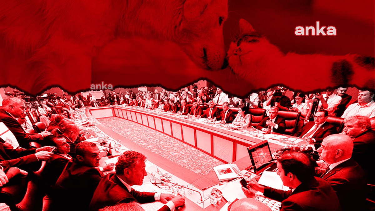 Hayvanları Koruma Kanununda Değişiklik Yapılmasına Dair Kanun Teklifi Kabul Edildi