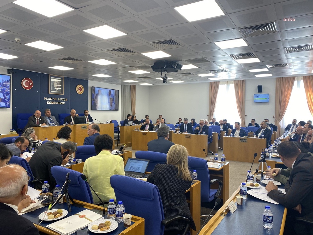 Hayvanları Koruma Kanunu\'nda Değişiklik Yapılmasına Dair Kanun Teklifi Görüşmeleri Ertelendi