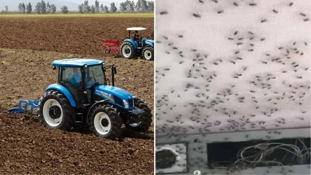 Traktöre binince gördüğü manzara karşısında ağzını ve kulaklarını kapatması bir oldu