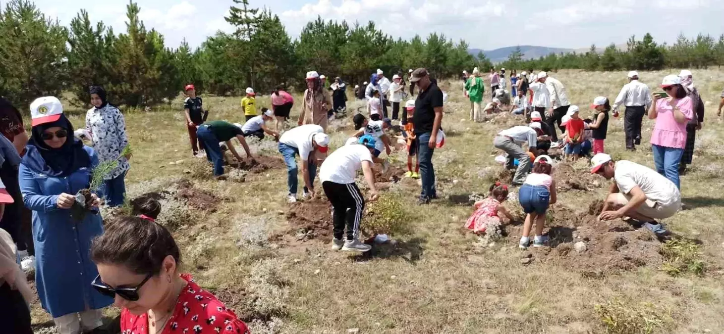 Çerkeş\'te Fidan Dikimi ve Kültürel Etkinlikler Şenlik Havasında Geçti