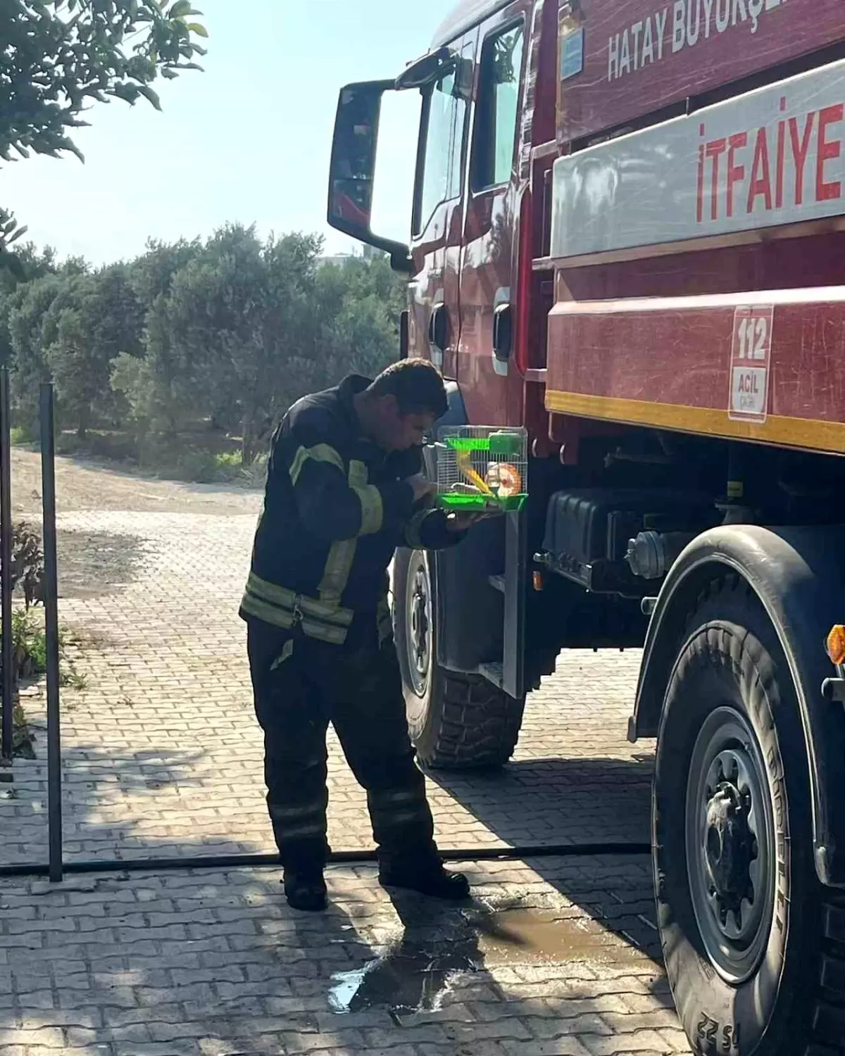 Hatay\'da yangın çıkan evdeki hamster itfaiye ekipleri tarafından kurtarıldı