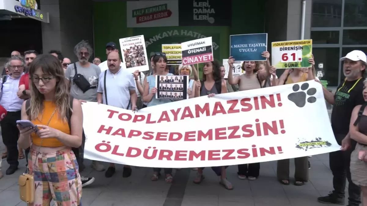 Hayvan Hakları Savunucuları Ankara\'da Kanun Teklifini Protesto Etti