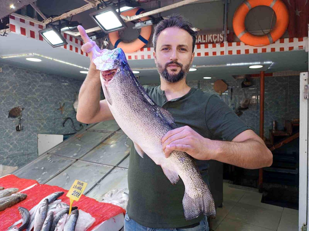 Kafes balıkları ile sezon arasını geçiren balıkçılar palamut umuduyla bekliyor
