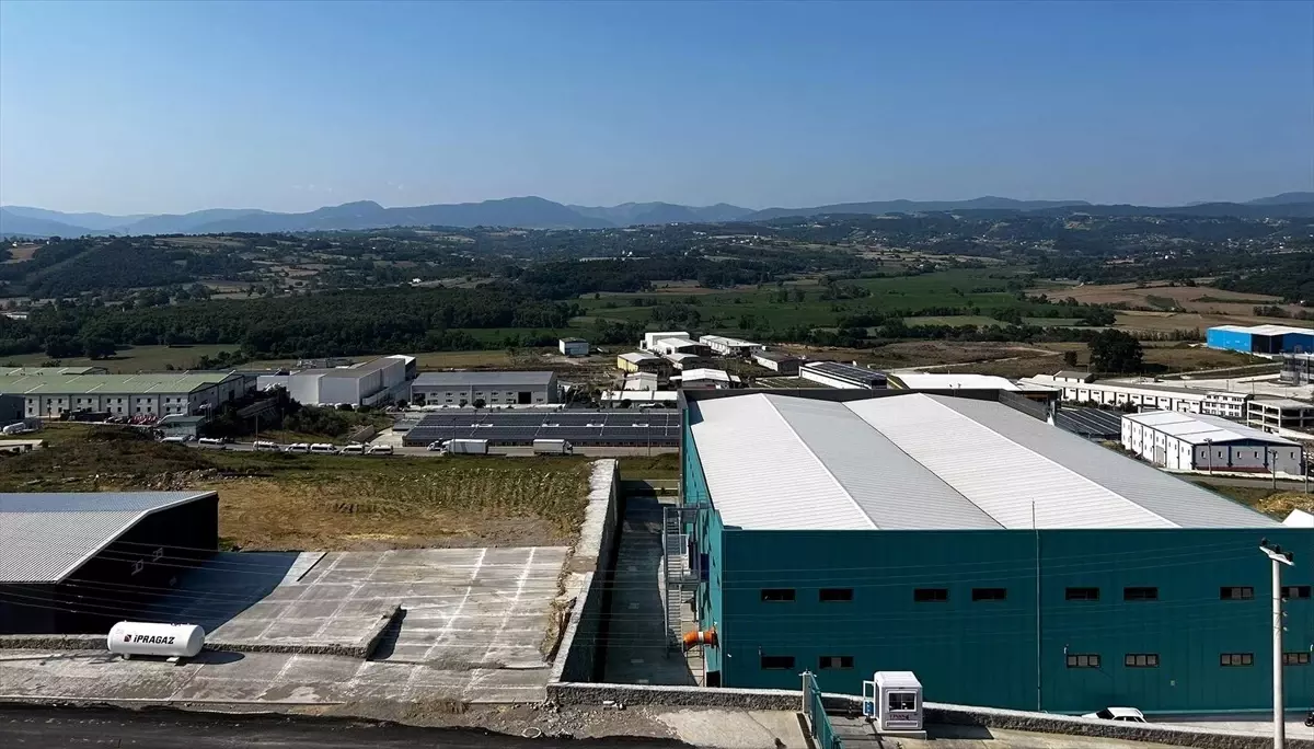 Sinop Organize Sanayi Bölgesi\'nde Yer Sıkıntısı Yaşanıyor