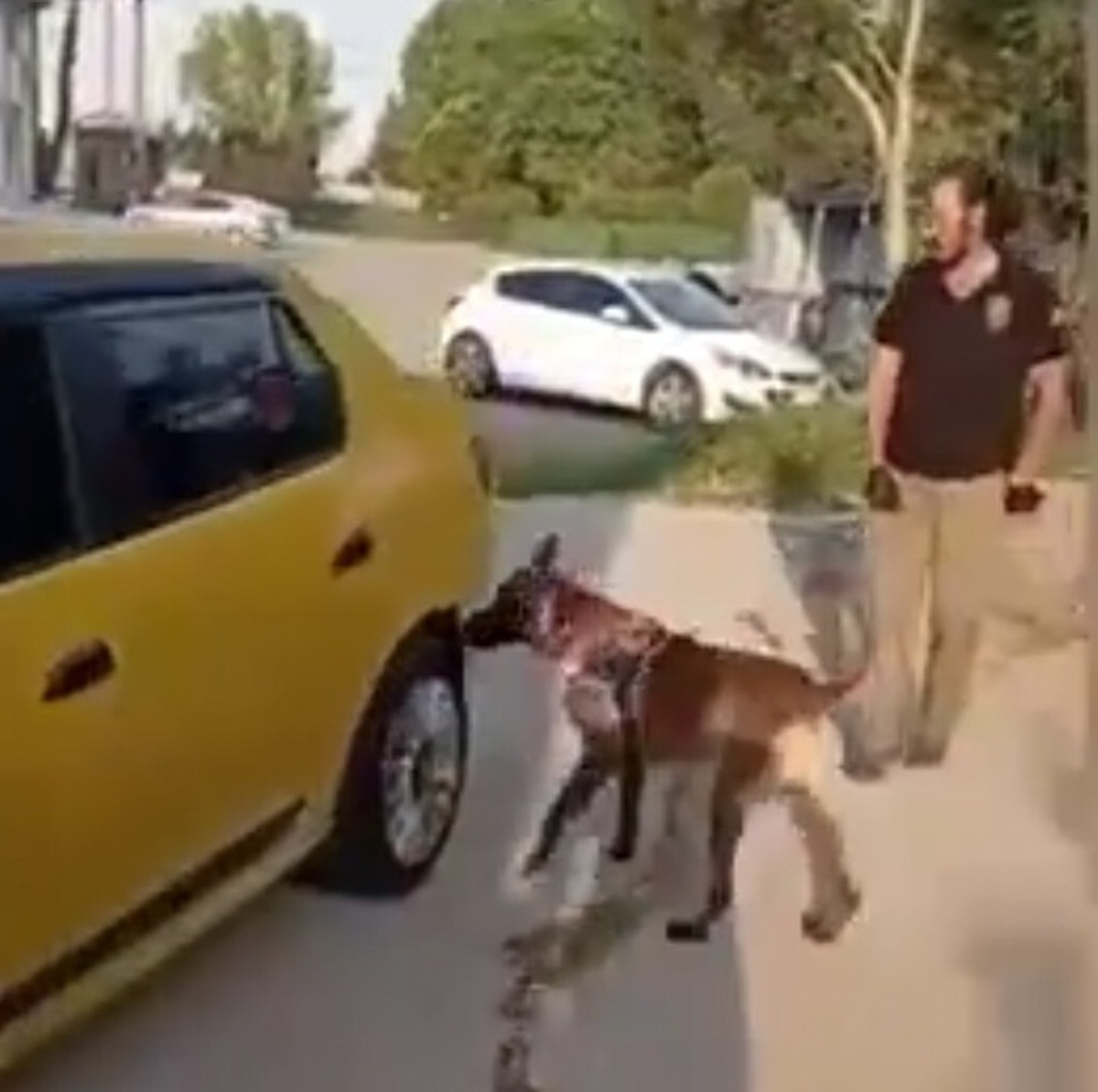 Kocaeli\'de 2 araçta 1 kilo 532 gram sentetik kannabinoid ele geçirildi