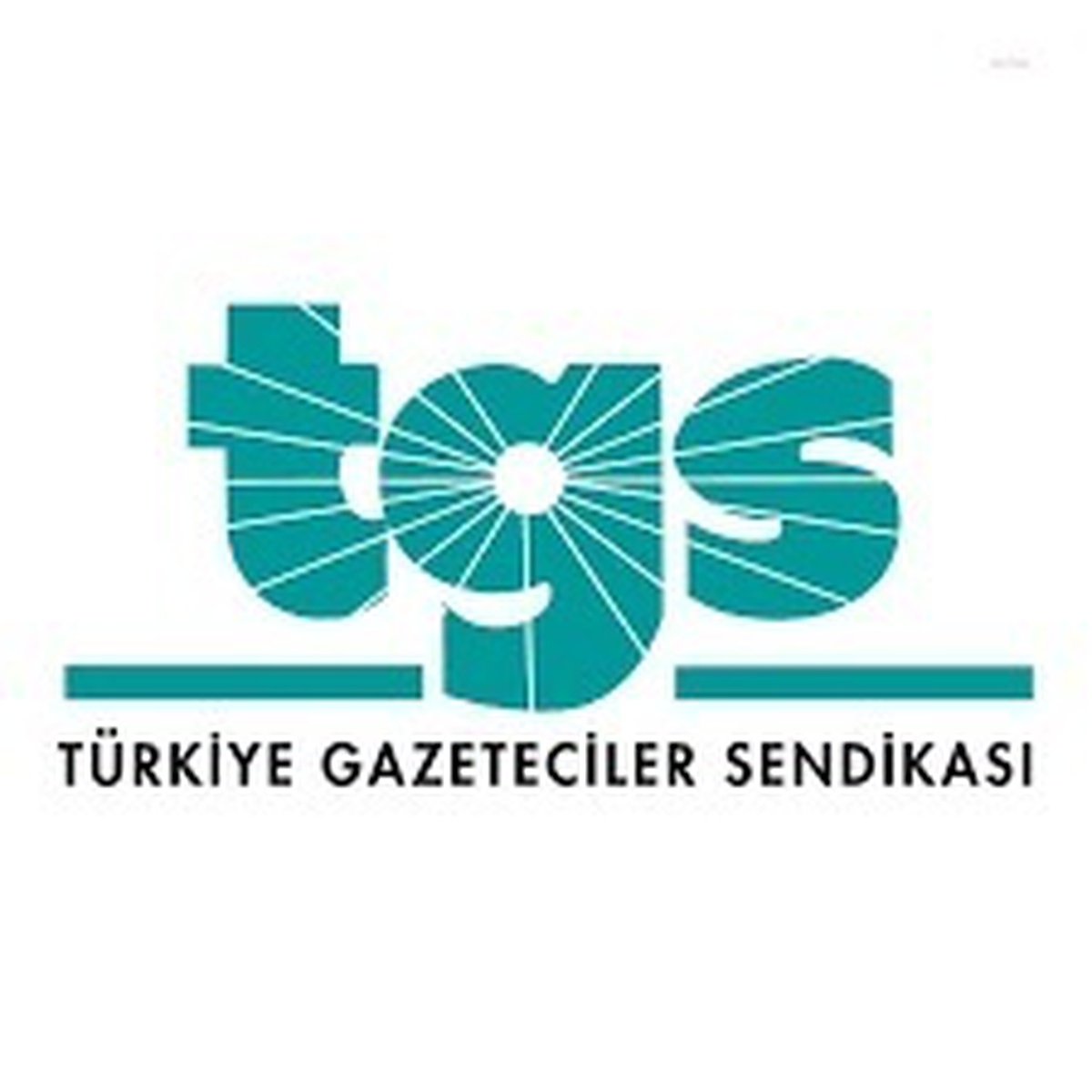 Türkiye Gazeteciler Sendikası: Gazetecilere yönelik saldırılar artıyor