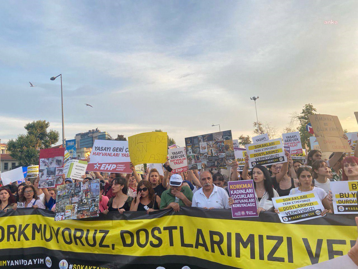 Hayvan Hakları Savunucuları TBMM\'deki Hayvanları Koruma Kanunu Tasarısına Karşı Seslerini Yükseltti