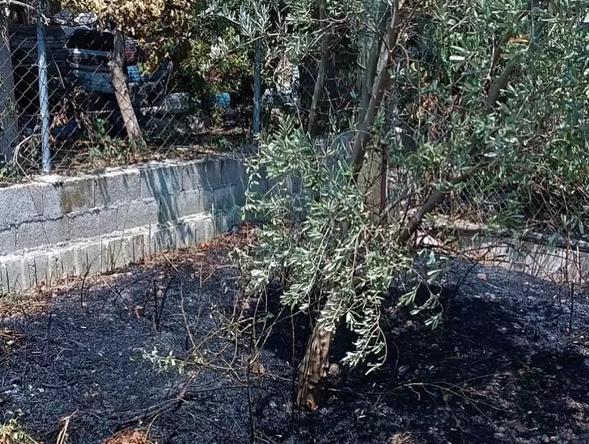 Hatay\'ın Defne ilçesinde evin bahçesinde çıkan yangın söndürüldü