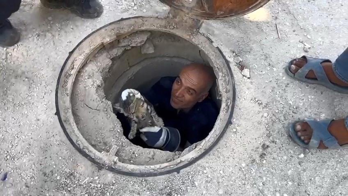 Adıyaman\'da Lağım Borusuna Sıkışan Kedi İtfaiye Tarafından Kurtarıldı