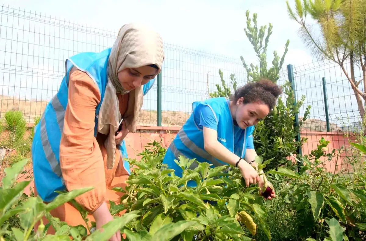 Adana Gençlik Merkezi, doğal tarım ürünleriyle çocuklara katkı sağlıyor