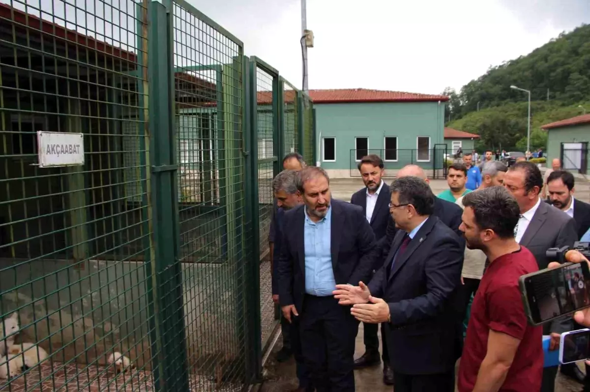 AK Parti Genel Başkan Yardımcısı Şen: "İt taparların ve it savarların aklıyla hiçbir şey yapılamaz"