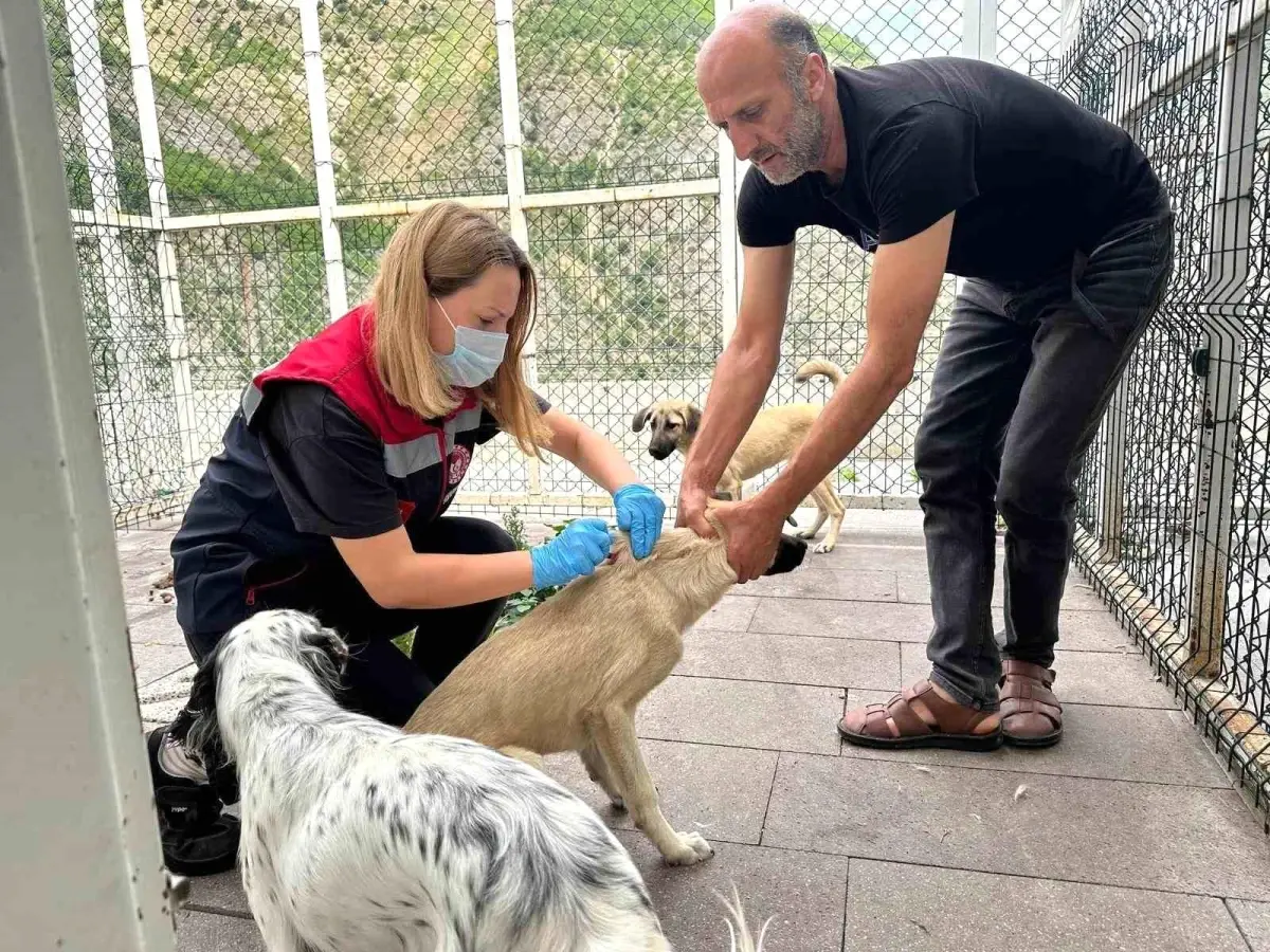 Artvin\'de Kuduz Şüphesiyle Hayvan Hareketliliğine Kısıtlama