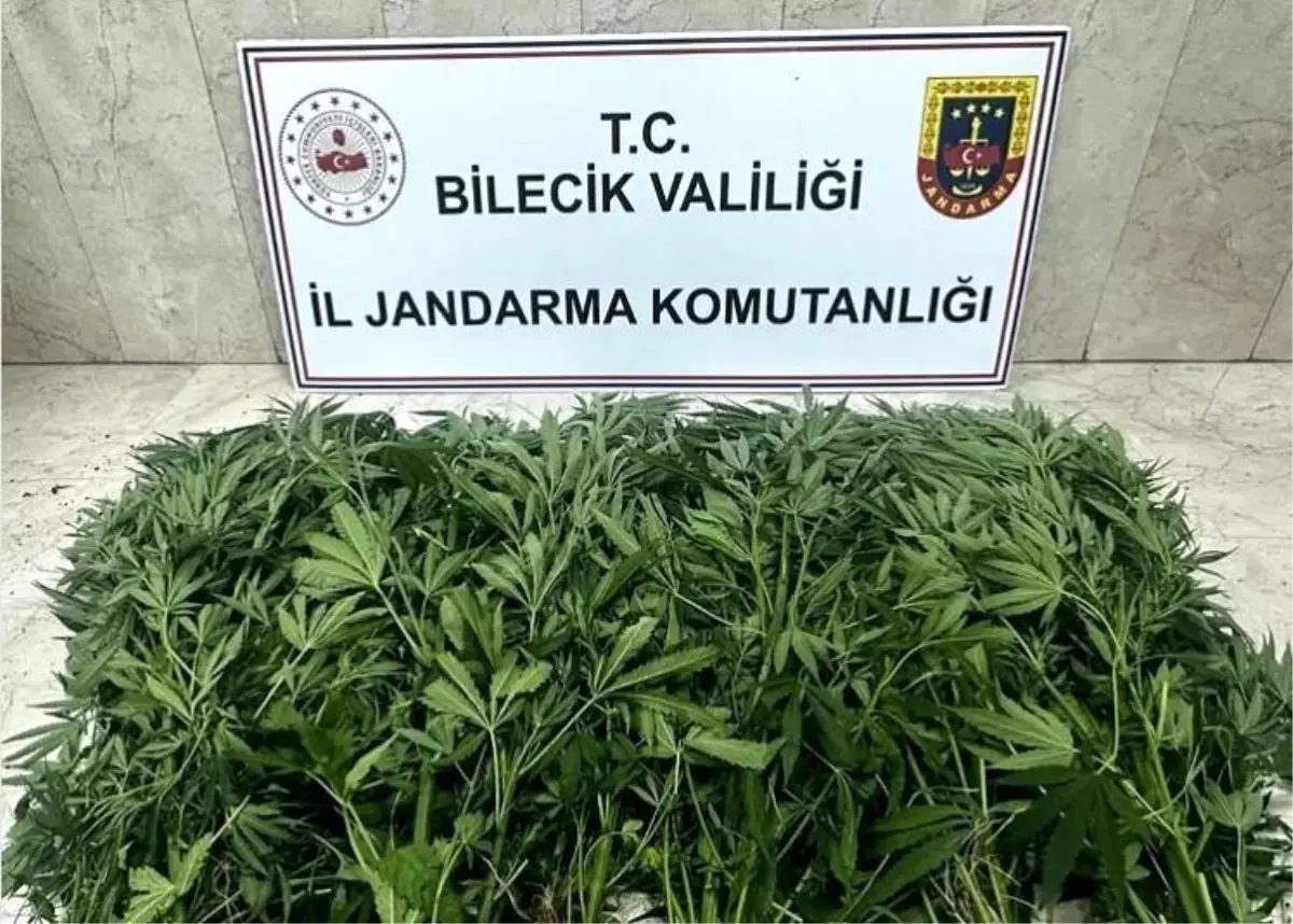 Bilecik\'te Uyuşturucu Operasyonu: Çok Sayıda Uyuşturucu Madde Ele Geçirildi, 2 Şüpheli Yakalandı