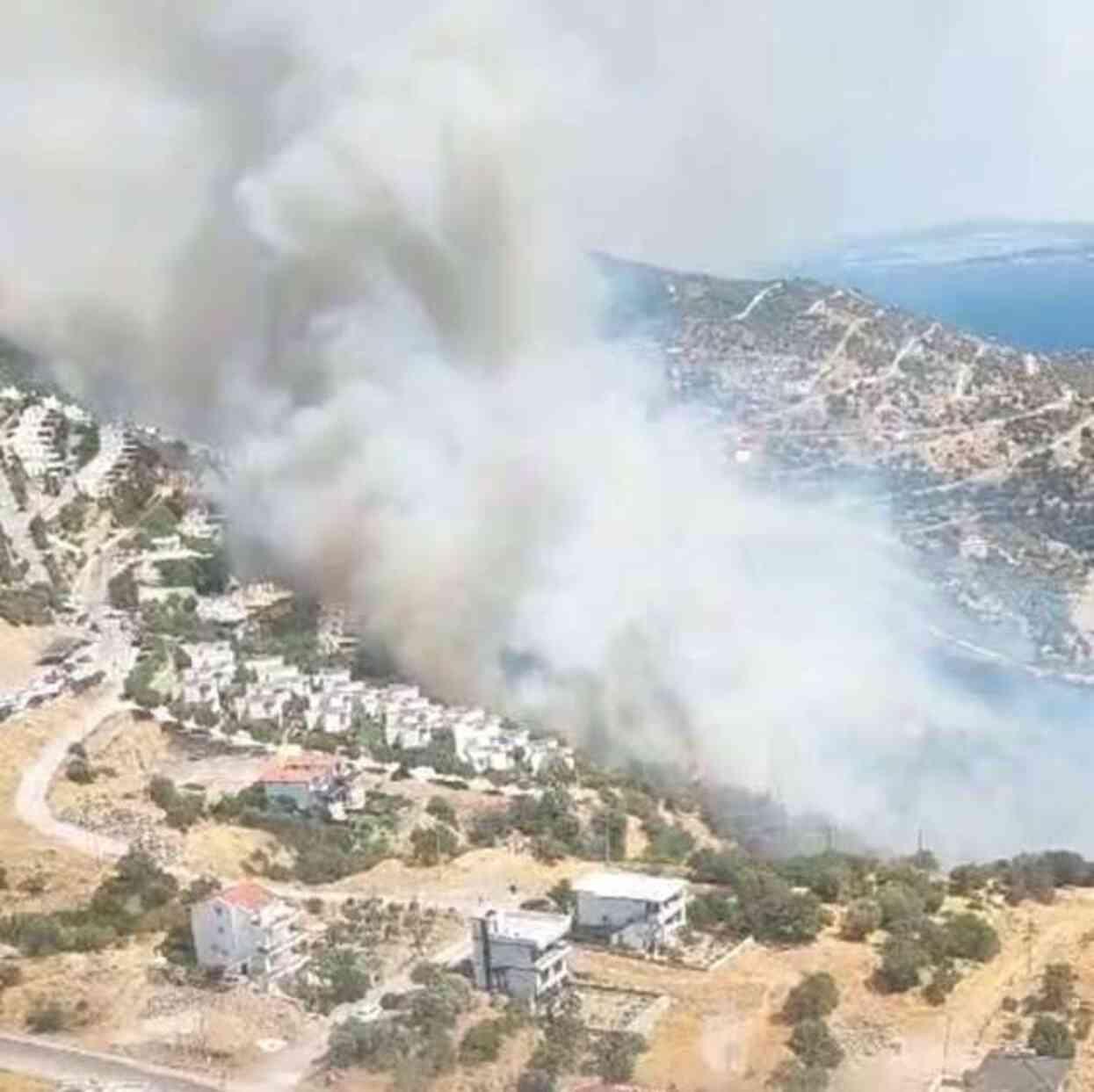 İzmir'de orman yangını! Alevlerin yaklaştığı site tahliye edildi