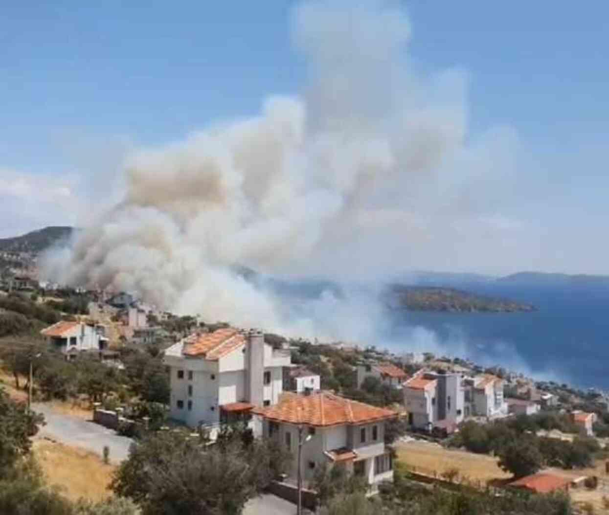 İzmir'de orman yangını! Alevlerin yaklaştığı site tahliye edildi