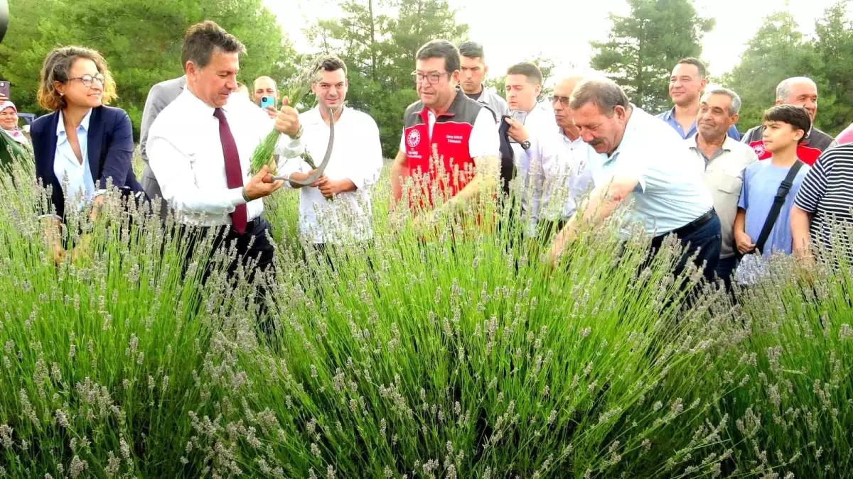 Muğla\'da düzenlenen Lavanta Şenliği büyük ilgi gördü