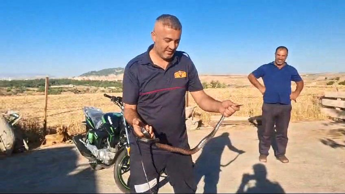 Adıyaman\'da Ev İçerisinde Görülen Yılan İtfaiye Tarafından Yakalandı