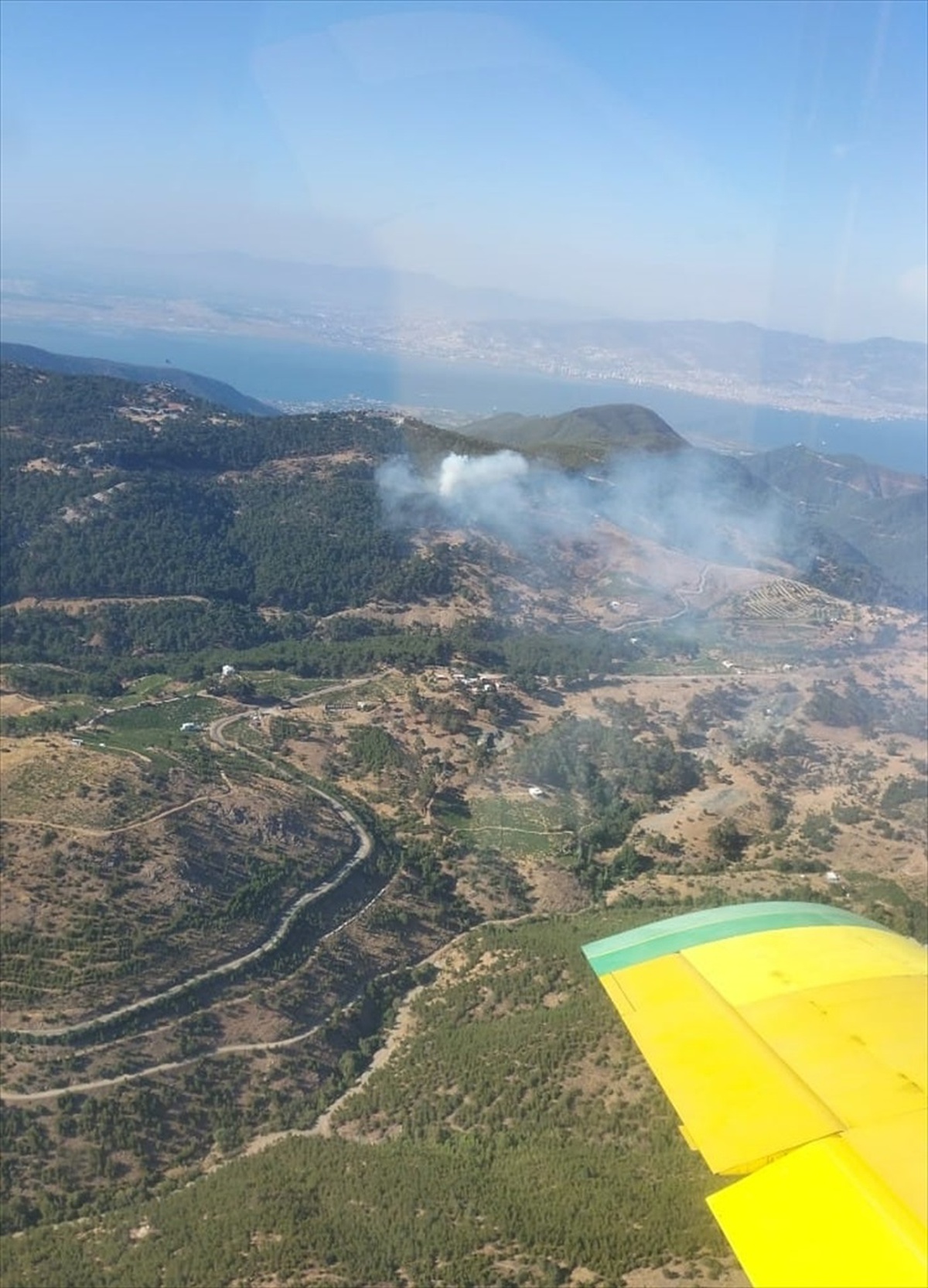 İzmir\'deki orman yangını kontrol altına alındı
