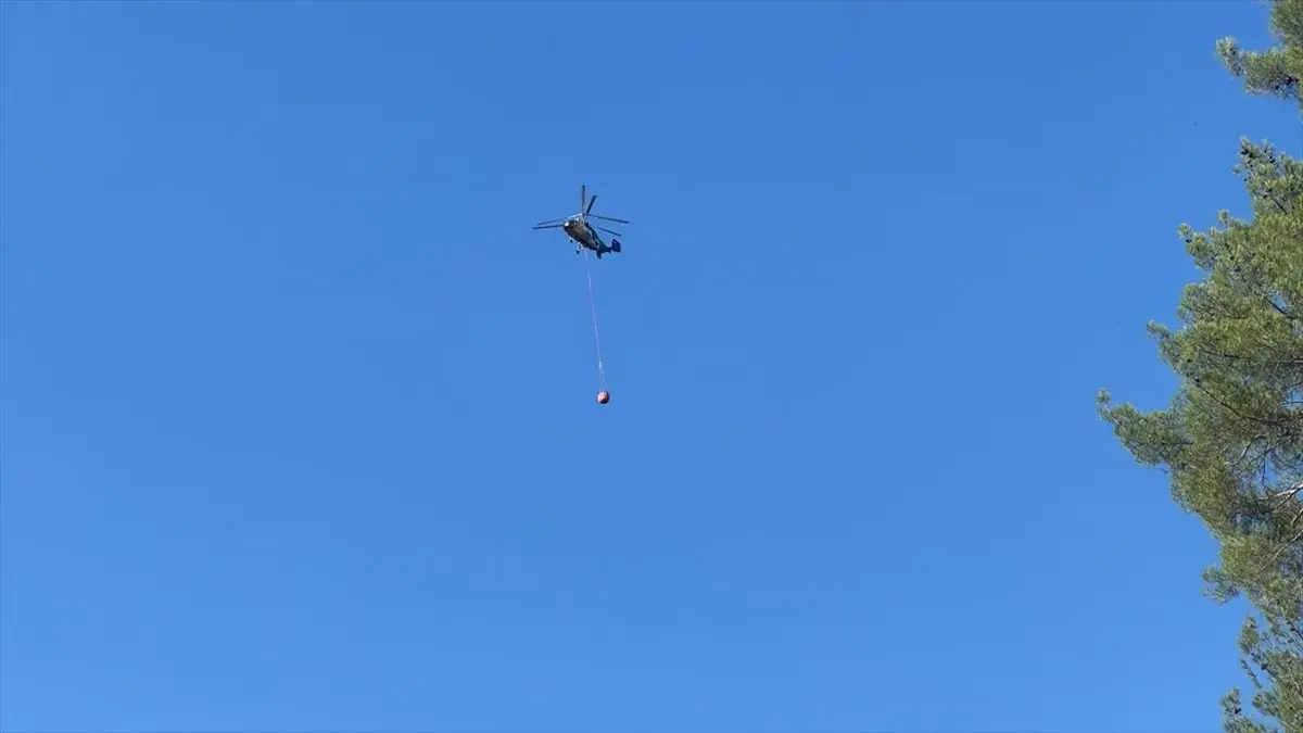 Kahramanmaraş\'ta Orman Yangınına Havadan ve Karadan Müdahale