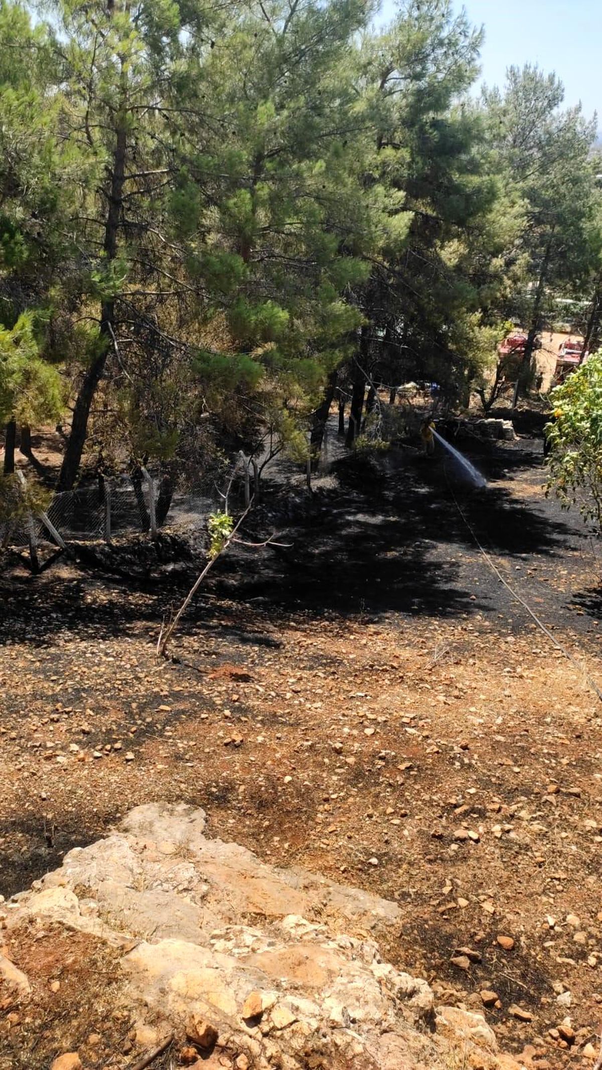 Adıyaman\'da Ormanlık Alanda Kuru Ot Yangını Söndürüldü