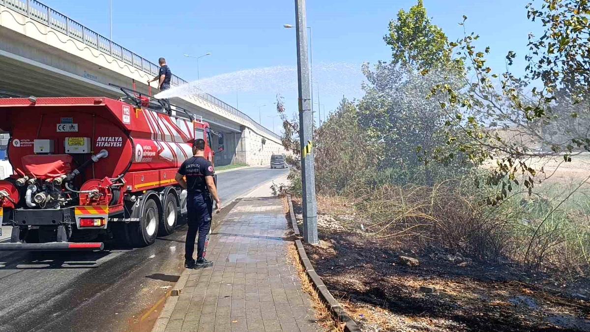 Manavgat Çevre Yolunda Araç Sürücülerinin Attığı Sigara İzmaritleri Yangınlara Neden Oluyor