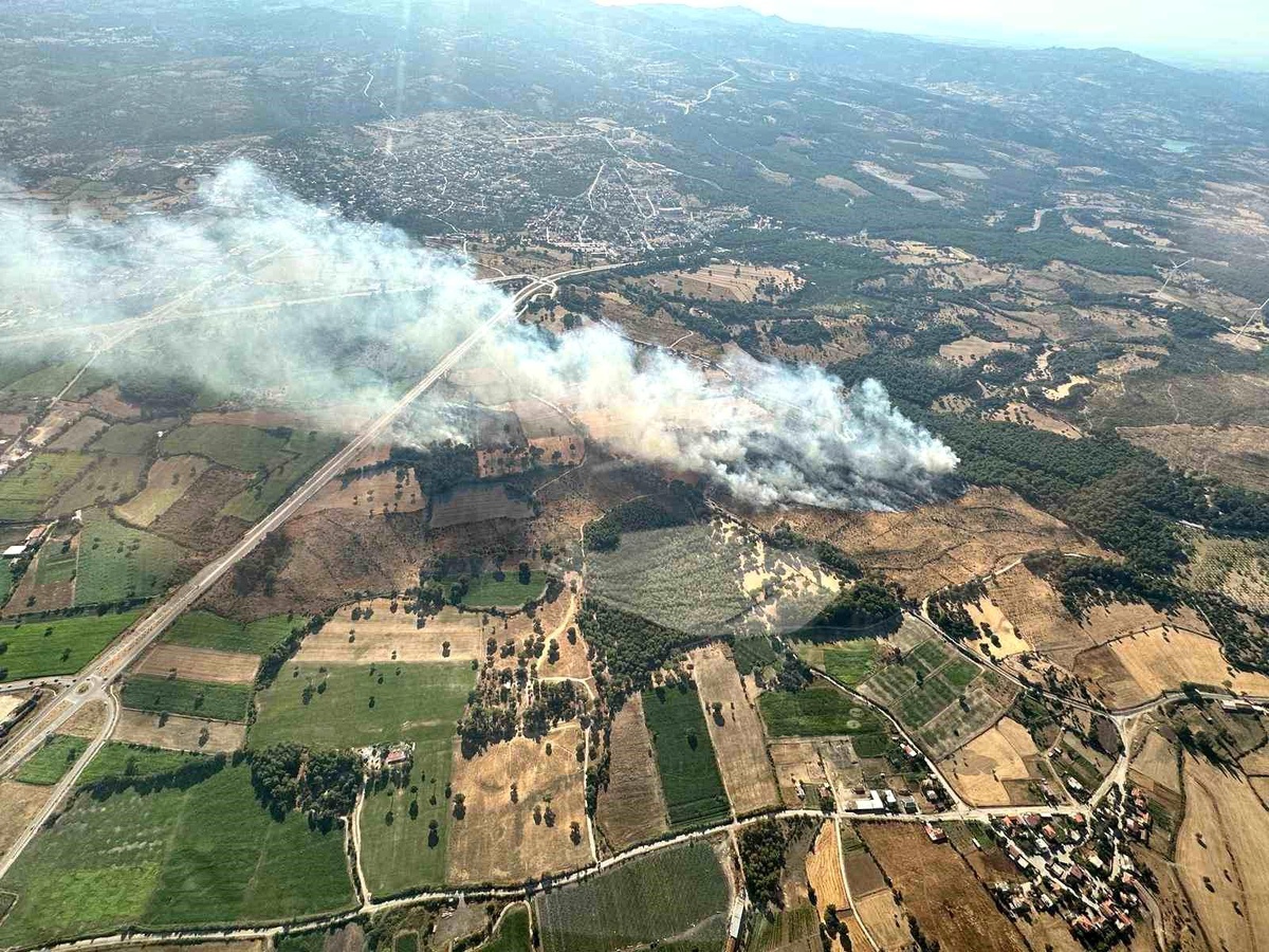 Çanakkale\'de Orman Yangını Kontrol Altına Alındı