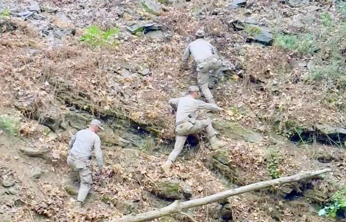 Manisa\'da Uyuşturucu Operasyonu: 4 Bin 949 Kök Kenevir İmha Edildi