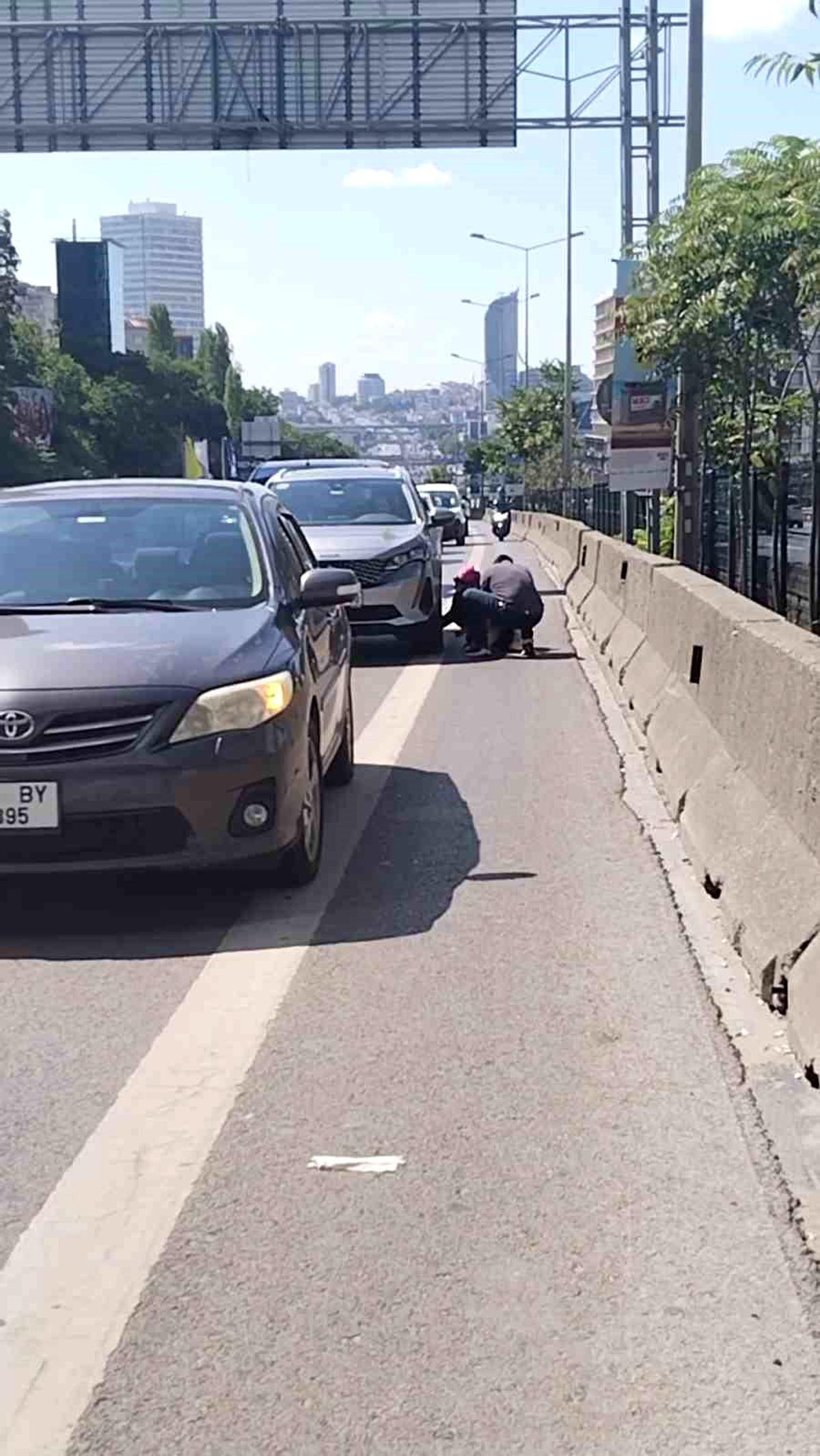 Kadıköy\'de Yavru Kedi Aracın Altında Ezilmekten Kurtarıldı