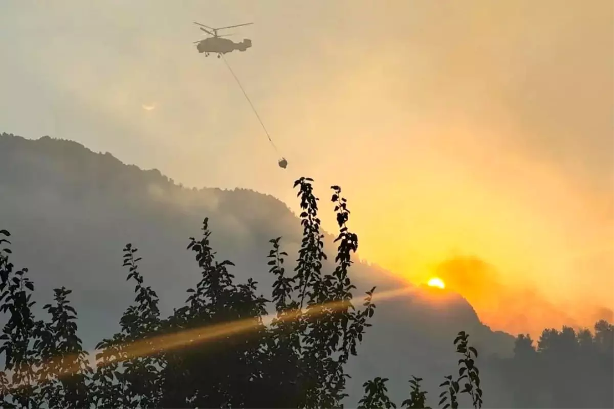 Kahramanmaraş\'ta çıkan orman yangını kontrol altına alındı