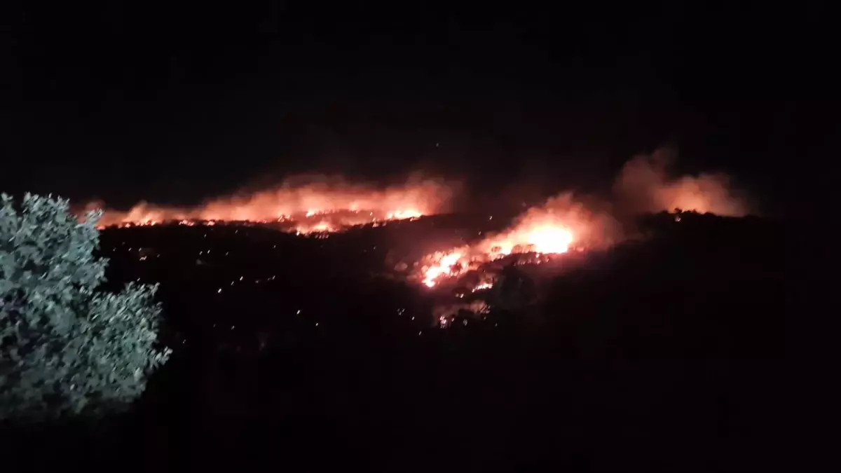 Mardin Mazıdağı\'nda çıkan yangın kontrol altına alındı