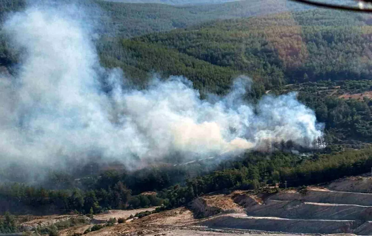 Muğla\'da çıkan orman yangını kısmen kontrol altına alındı