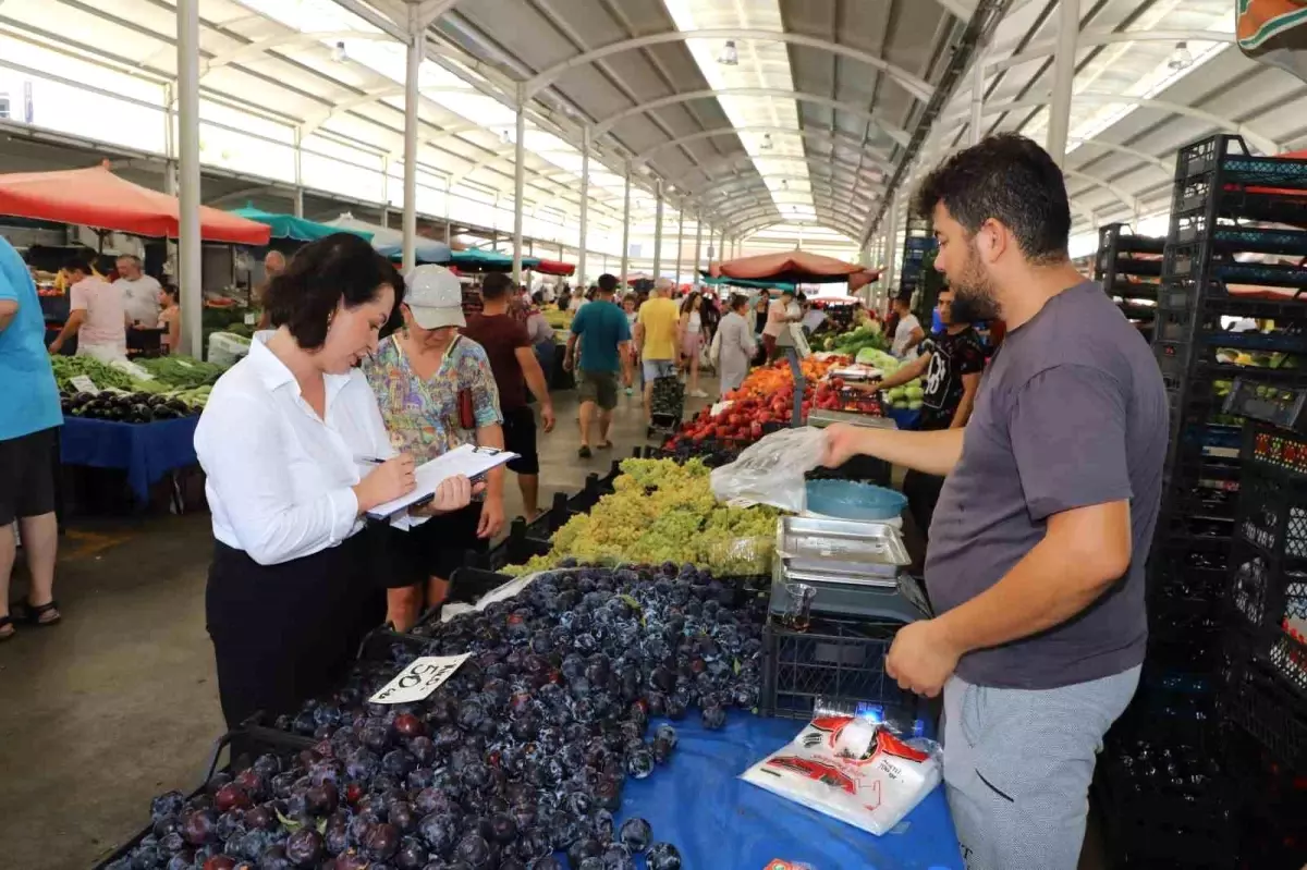 Alanya Belediyesi 2025-2029 Strateji Planı için vatandaşlardan görüş alınıyor