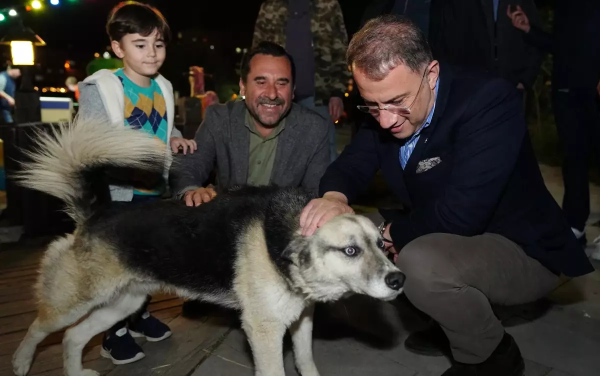 Beylikdüzü Belediye Başkanı Hayvanları Koruma Kanunu\'na İlişkin Açıklama Yaptı