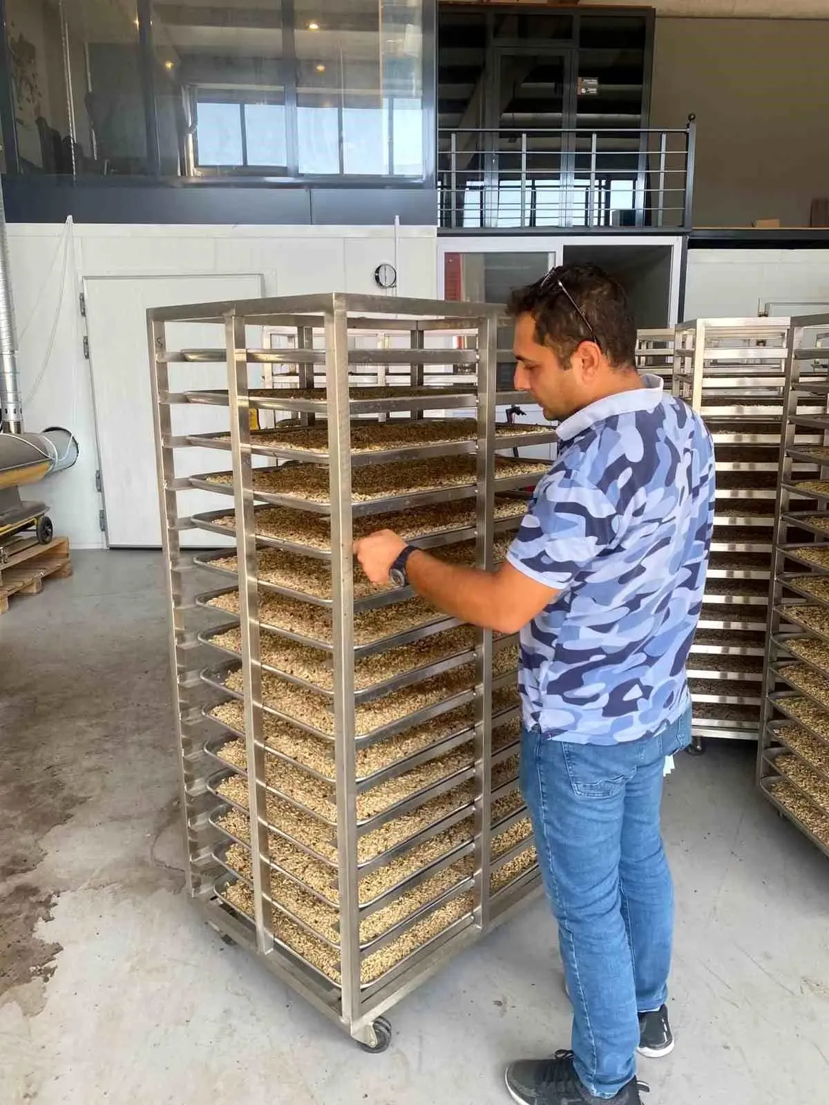 Türkiye\'nin Önemli İhracat Ürünü Çam Fıstıklarının İlk Muayenesi Yapıldı