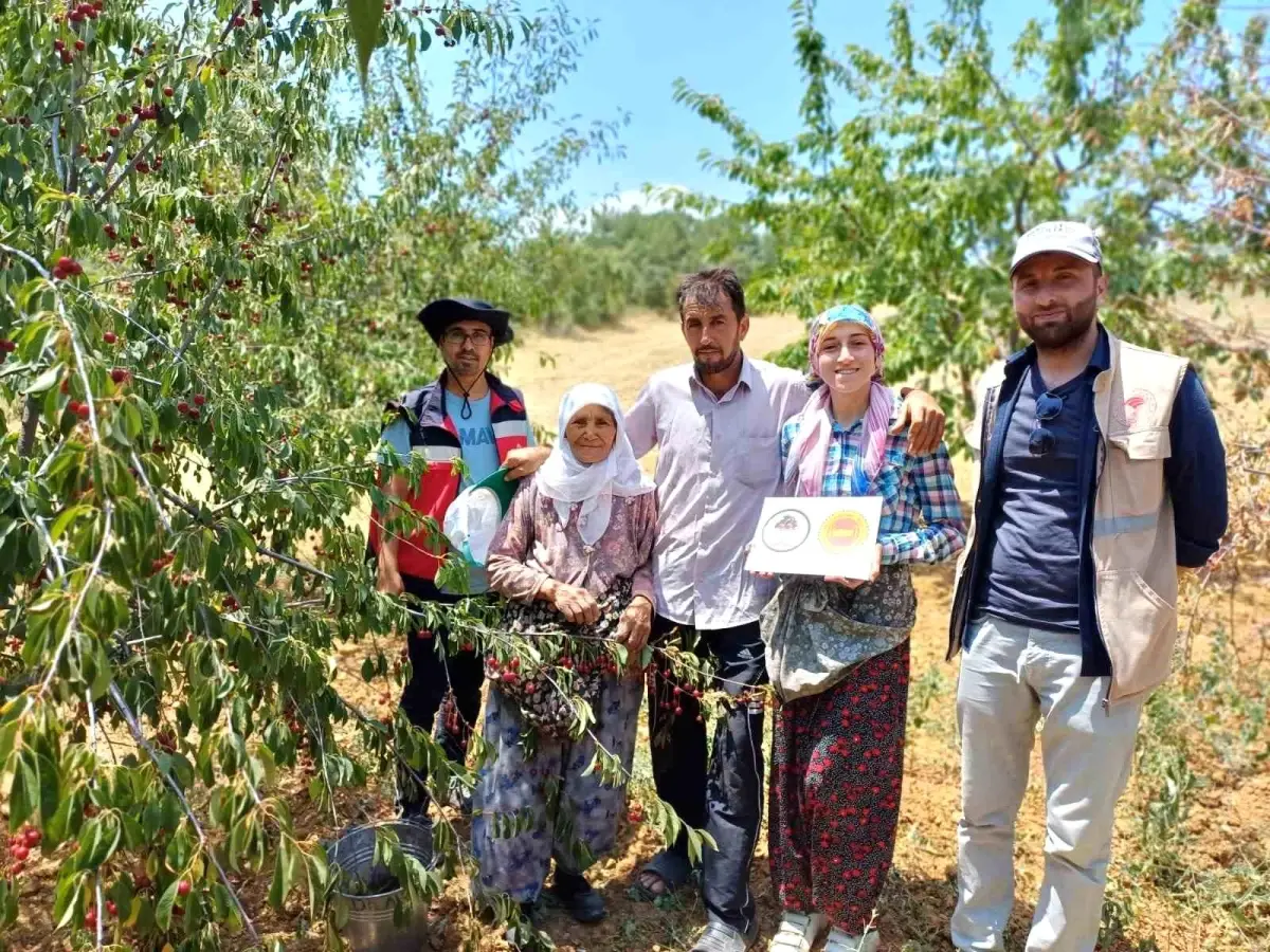 Şaphane vişnesinin tescil ve kontrol çalışmaları yapıldı