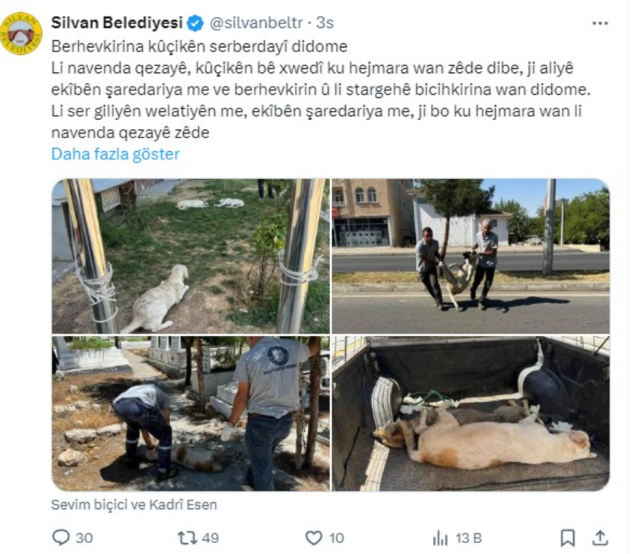 Düzenleme TBMM'den geçti, başıboş köpekleri ilk toplayan DEM Partili Silvan belediyesi oldu