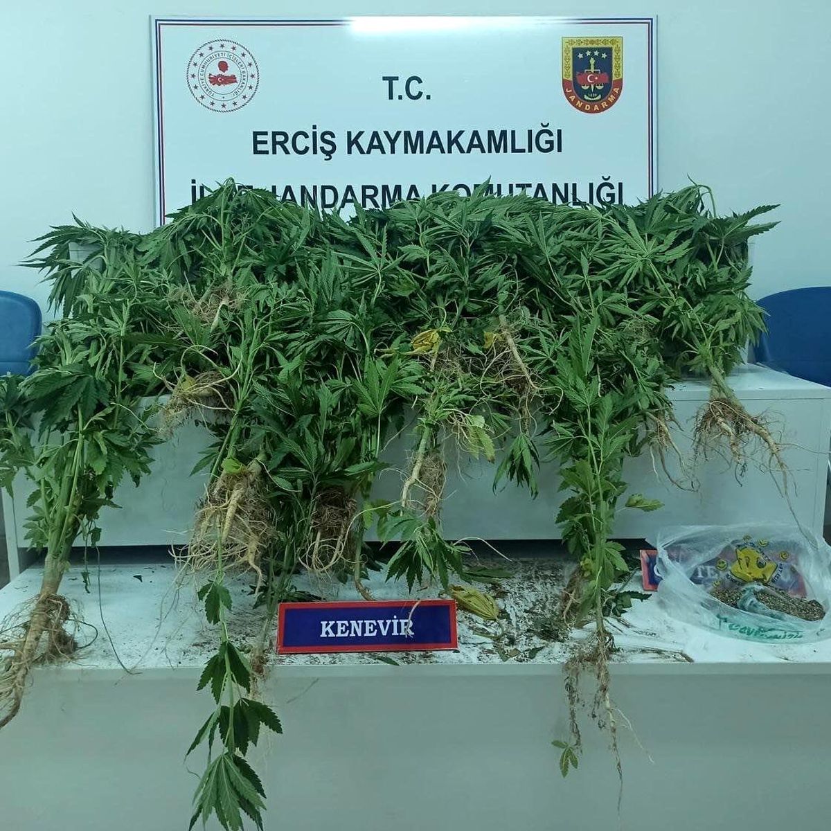 Van\'da jandarma operasyonunda uyuşturucu madde ele geçirildi