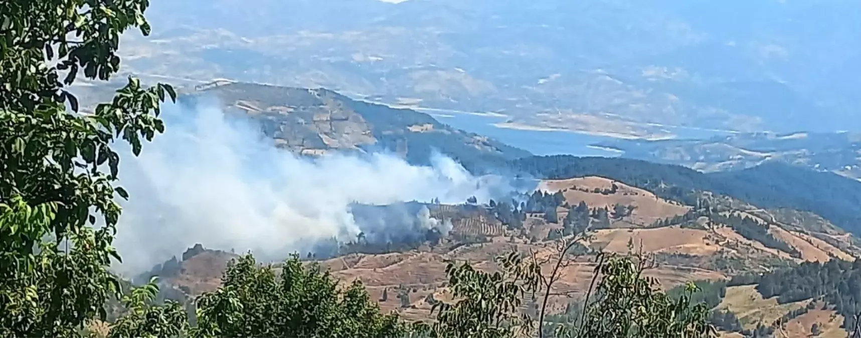 Kahramanmaraş\'ta Orman Yangını Çıktı