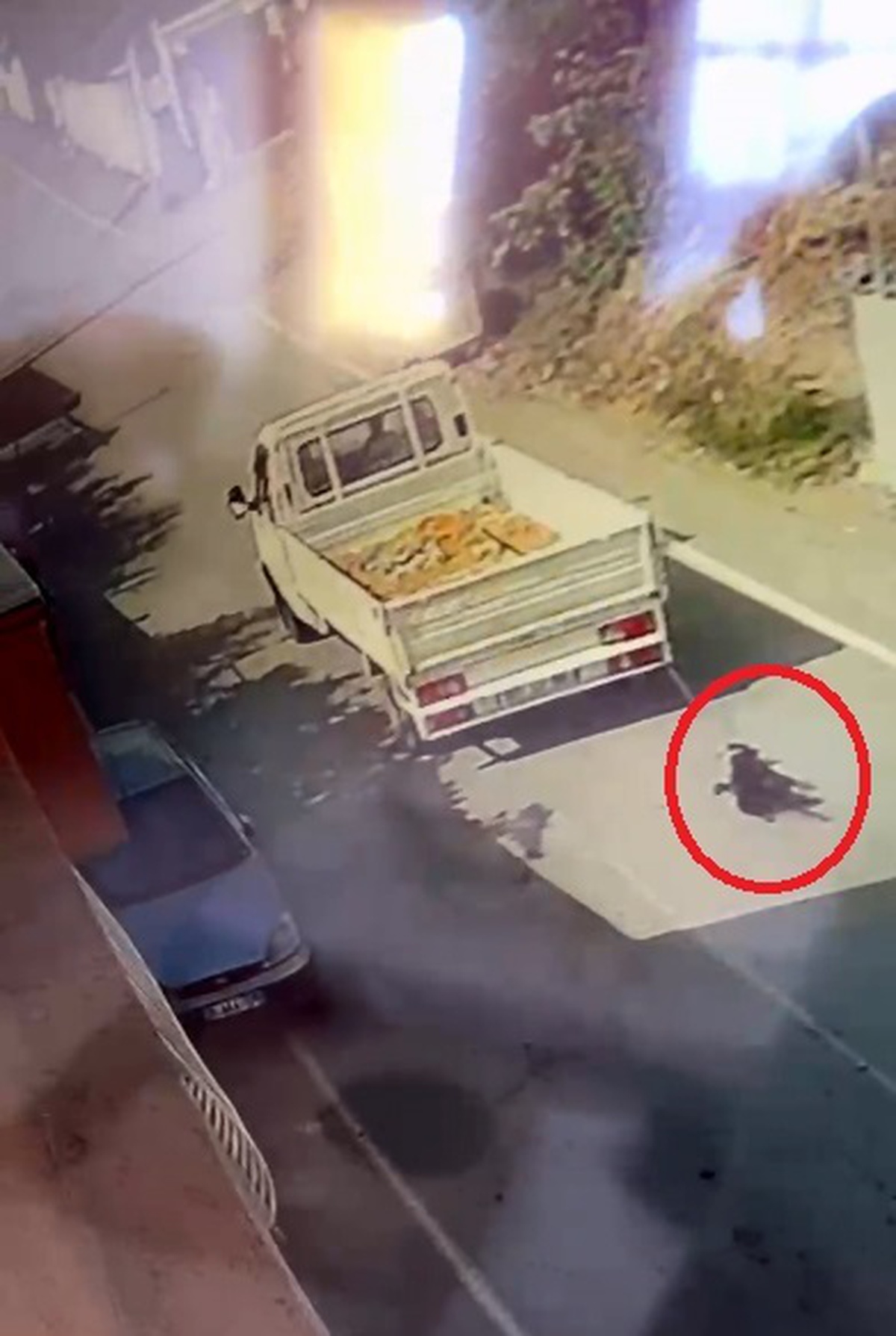 İskenderun\'da Köpeği Sürükleyen Sürücüye Tepki