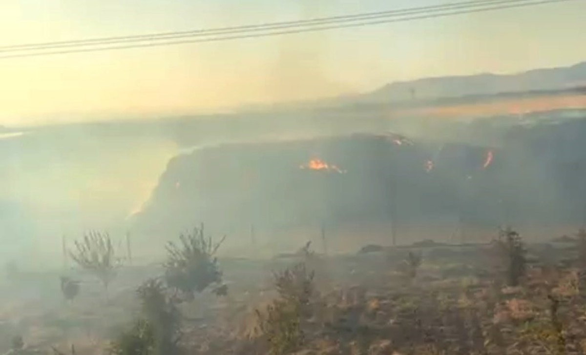 Mardin\'de Saman Yangınında Fıstık Bahçesi Zarar Gördü