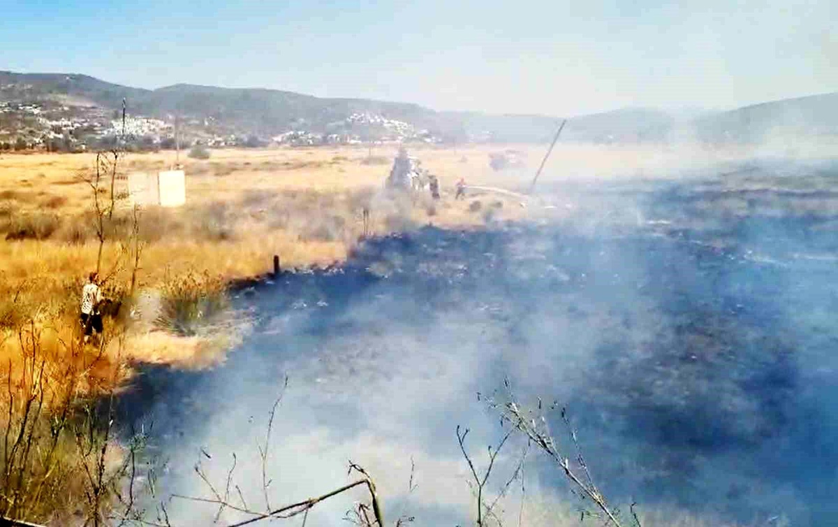 Muğla\'da Tarım Arazisinde Yangın Kontrol Altına Alındı