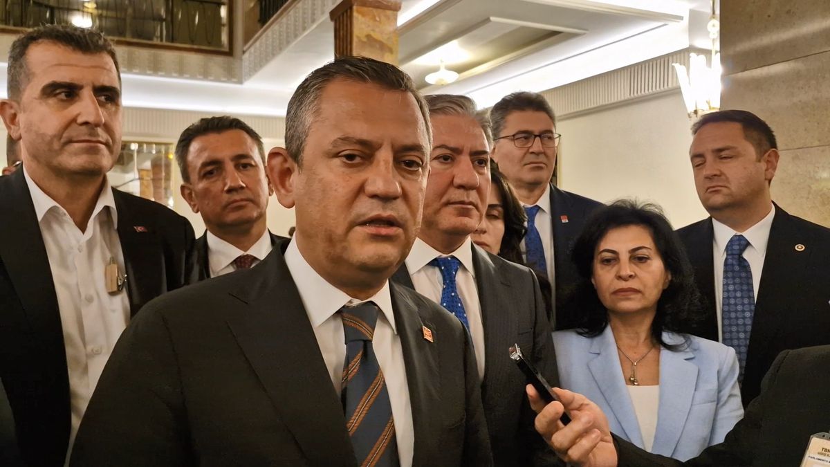 CHP, sahipsiz hayvanlar düzenlemesini Anayasa Mahkemesi\'ne götürecek