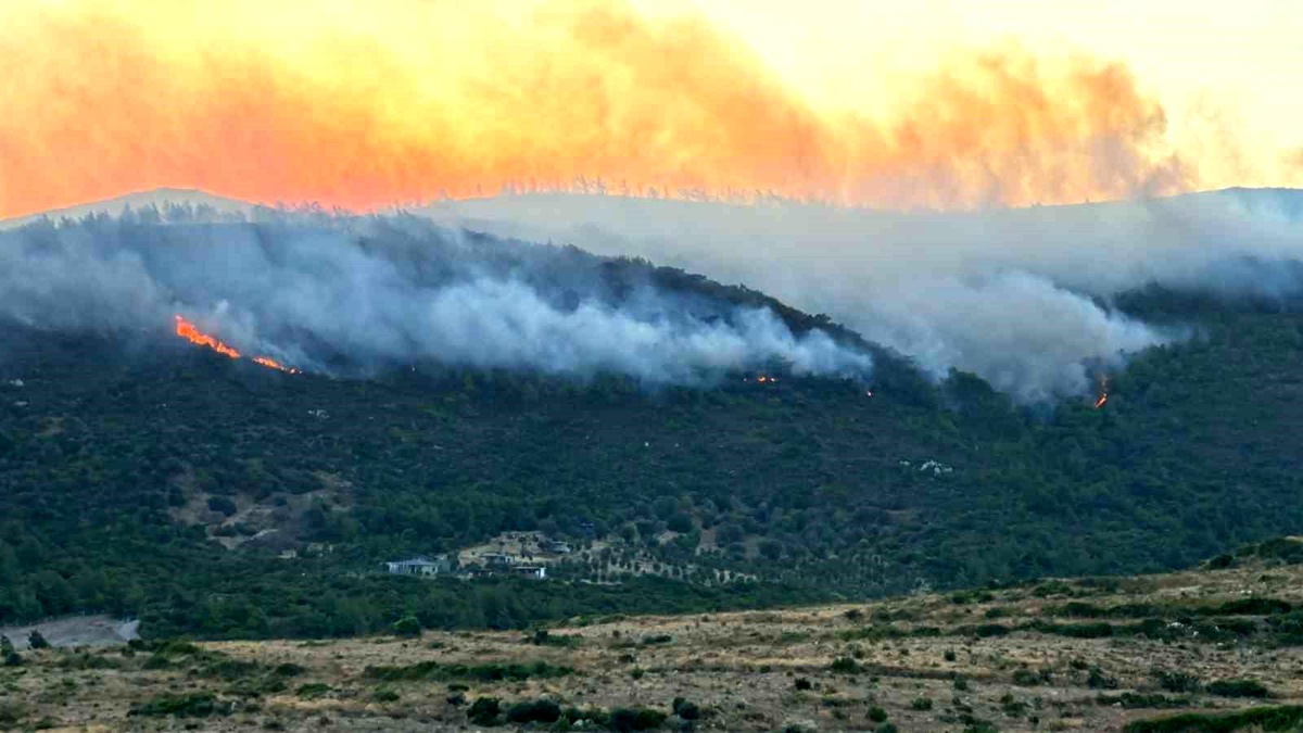 İzmir\'de çıkan yangınlara itfaiye ekipleri müdahale etti