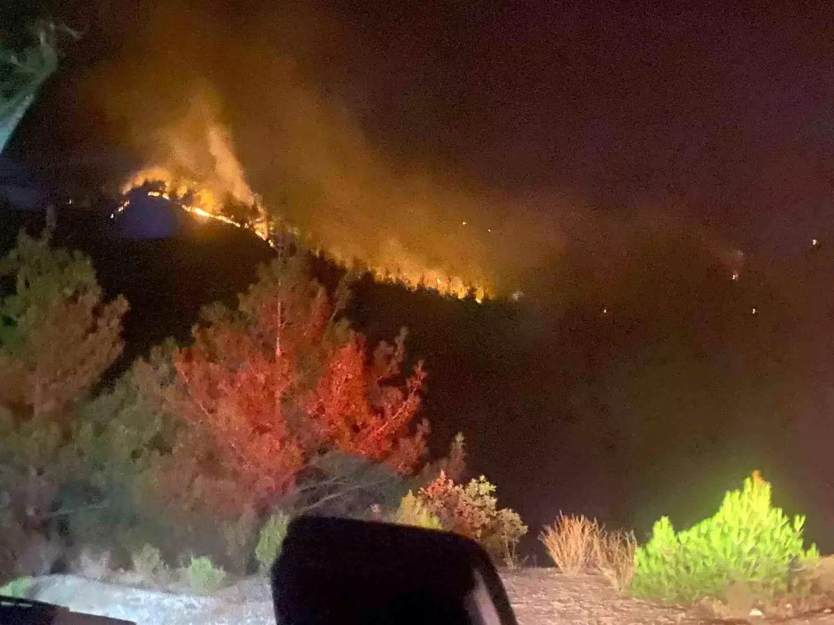 Kahramanmaraş\'ta çıkan orman yangını kontrol altına alındı